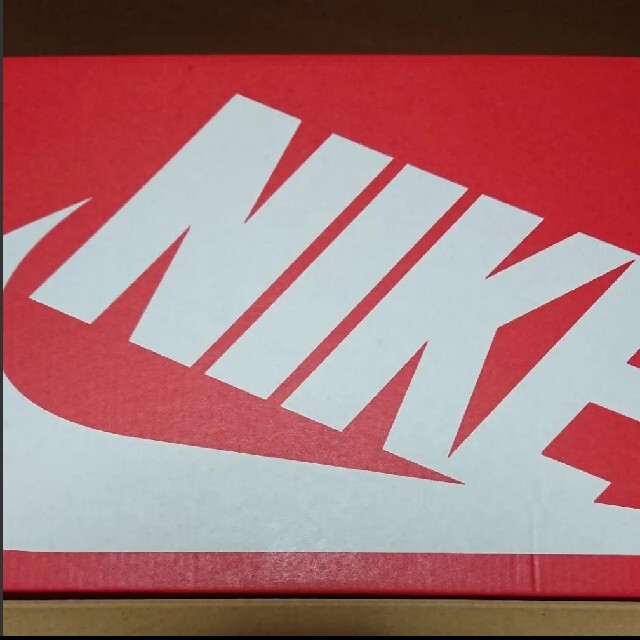 NIKE(ナイキ)のNIKE DUNK LOW RETRO WHITE/BLACK PANDA メンズの靴/シューズ(スニーカー)の商品写真