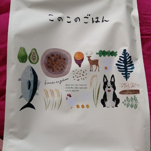 このこのごはん 1kg 2袋セット smhspatna.org.in