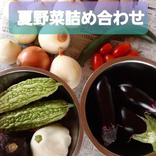 ☆夏野菜詰め合わせ☆ 朝採り お野菜セット ゆうパック 70サイズ(野菜)