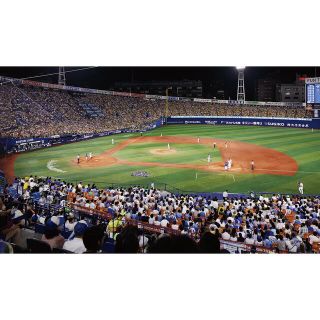 DeNAベイスターズ 8月27日 (土) SSツインシート ペア 通知側の通販