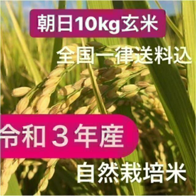 ：自然栽培　新色追加　令和3年度産/朝日(玄米)　重量：10kg　60.0%OFF