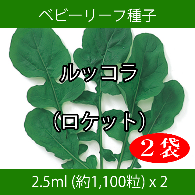 ベビーリーフ種子 B-29 ルッコラ（ロケット）2.5ml約1100粒 x 2袋 食品/飲料/酒の食品(野菜)の商品写真