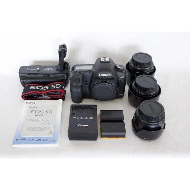 販売在庫 MARK2 5D EOS Canon キヤノン デジタル一眼レフ フルサイズ デジタルカメラ