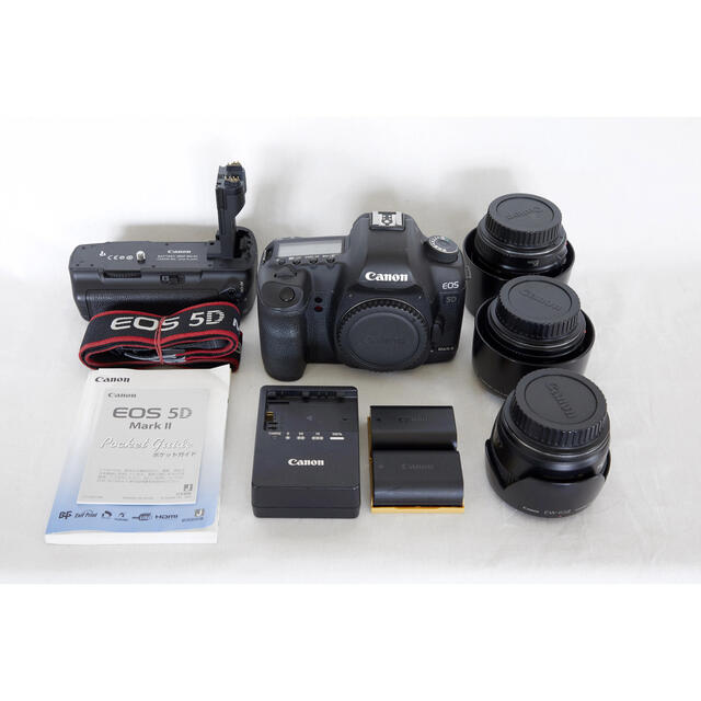 魅力的な価格 Canon - Canon EOS 5D mark ii フルサイズ一眼レフ 単