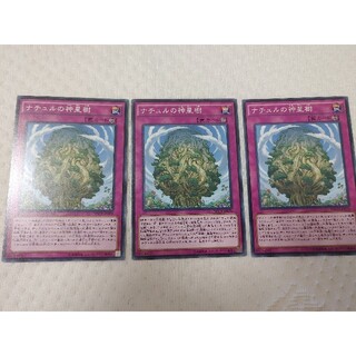 ユウギオウ(遊戯王)のナチュルの神星樹 3枚(シングルカード)
