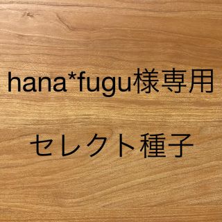 hana*fugu様専用　セレクト種子　10袋(野菜)