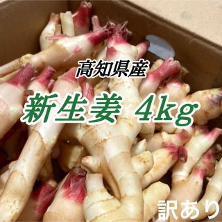 訳あり 新生姜4kg(野菜)