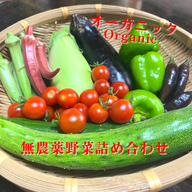 【自然農】無農薬の旬野菜詰め合わせ 食品/飲料/酒の食品(野菜)の商品写真