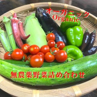 【自然農】無農薬の旬野菜詰め合わせ(野菜)