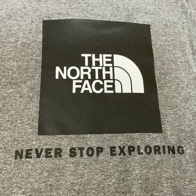 THE NORTH FACE(ザノースフェイス)のノースフェイス The North Face 半袖Tシャツ (15503) メンズのトップス(Tシャツ/カットソー(半袖/袖なし))の商品写真