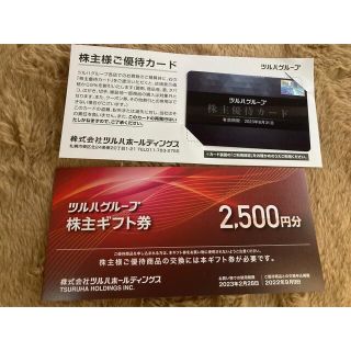 ツルハホールディングス　優待券2500円＋優待カード(ショッピング)