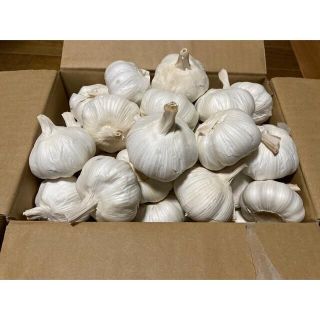 嘉定種 令和4年度産 ニンニク 中球(M球程度) 3kg にんにく(野菜)