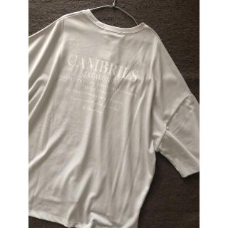 シマムラ(しまむら)の背面ロゴ tee グレージュ 新品未使用 しまむら(Tシャツ(半袖/袖なし))