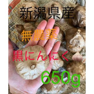 新潟県産　無農薬のニンニクから作りました　900g(野菜)