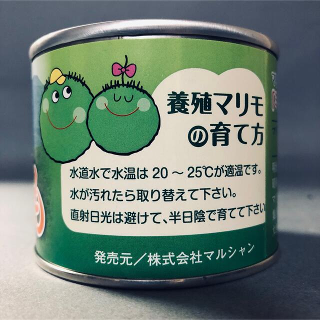 ご成約済み【北海道　養殖　まりも】缶詰 その他のペット用品(アクアリウム)の商品写真