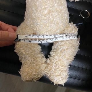 採寸したベアです。