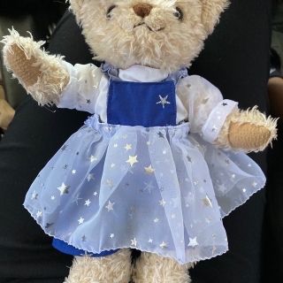 採寸したベアです。