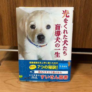 光をくれた犬たち盲導犬の一生　推薦図書(絵本/児童書)