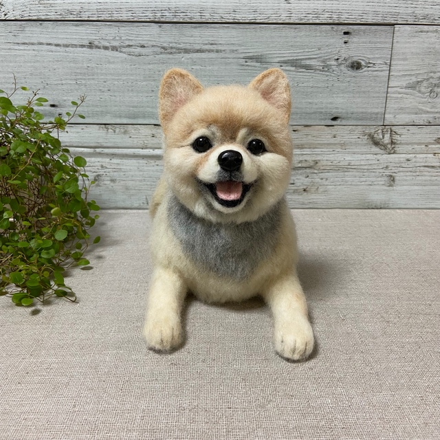 羊毛フェルト　犬　ポメラニアン