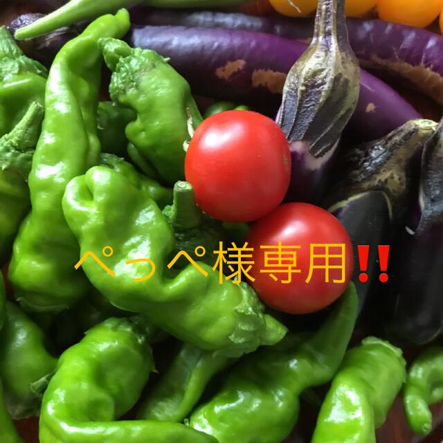 ペっぺ様専用‼️彩り夏野菜セット 食品/飲料/酒の食品(野菜)の商品写真