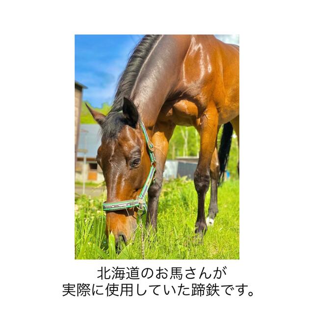 【幸運を呼ぶ蹄鉄】蹄鉄　ていてつ　ホースシュー　馬蹄　ウェルカムボード　馬　うま インテリア/住まい/日用品のインテリア小物(ウェルカムボード)の商品写真