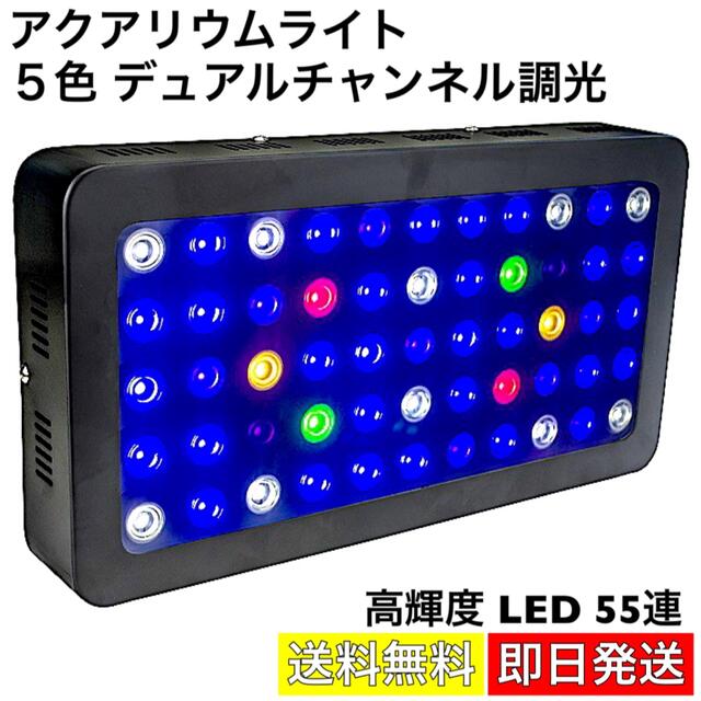 アクアリウムライト 高輝度 LED55連 5色 調光機能 水槽照明 熱帯魚 金魚 その他のペット用品(アクアリウム)の商品写真