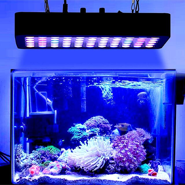 アクアリウムライト 高輝度 LED55連 5色 調光機能 水槽照明 熱帯魚 金魚 その他のペット用品(アクアリウム)の商品写真