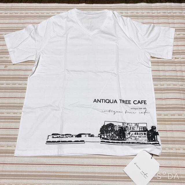 antiqua(アンティカ)のアンティカフェ　Tシャツ　✳︎ antiqua ✳︎ レディースのトップス(Tシャツ(半袖/袖なし))の商品写真