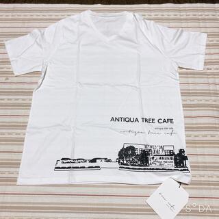 アンティカ(antiqua)のアンティカフェ　Tシャツ　✳︎ antiqua ✳︎(Tシャツ(半袖/袖なし))