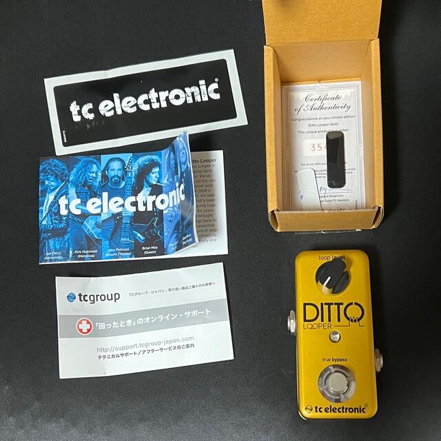 tc electronic Ditto Looper Gold Edition