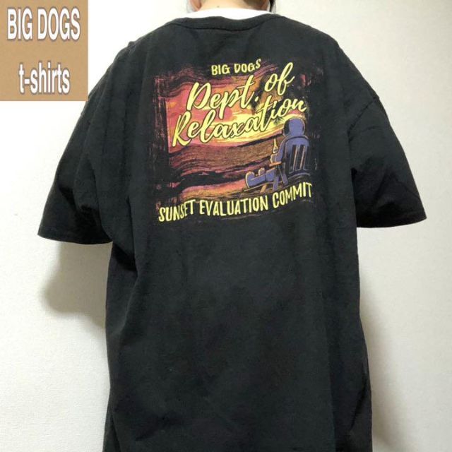 ビッグドッグス☆Tシャツ 90s  ゆるだぼ デカロゴ z58