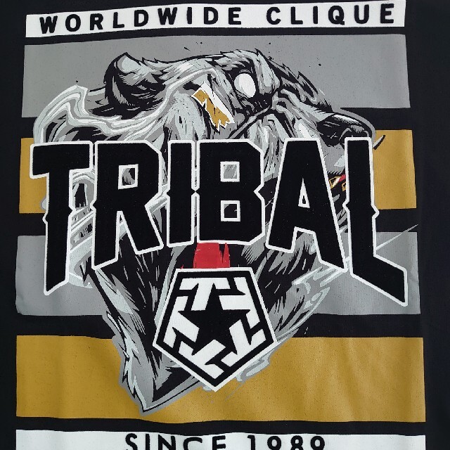 TRIBAL GEAR Tシャツ