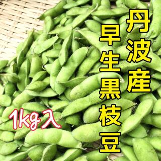 【丹波産早生黒枝豆】こくのある甘みを食べてみて下さい❗️(野菜)