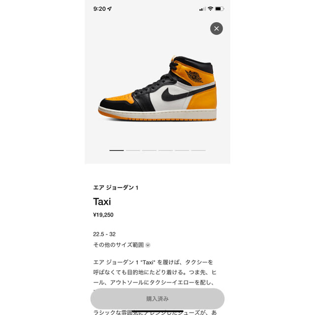 NIKE AIR JORDAN Taxi サイズ27.5㎝