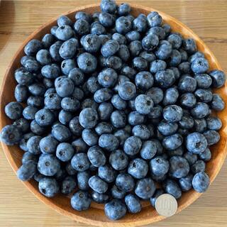 北海道産 完熟ブルーベリー 無農薬 3kg 送料込 フルーツ ふるさと 果物(フルーツ)