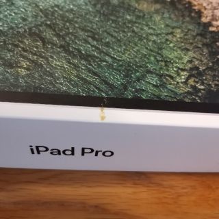 Apple - iPad Pro 10.5 インチ WiFi 256GB グレPencil1付きの通販 by ...