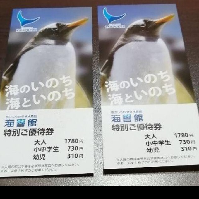 海響館 チケットの施設利用券(水族館)の商品写真