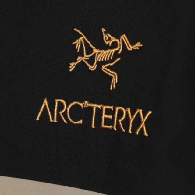 ARC'TERYX(アークテリクス)のARC’TERYX × BEAMS / 別注 BETA JACKET メンズのジャケット/アウター(マウンテンパーカー)の商品写真