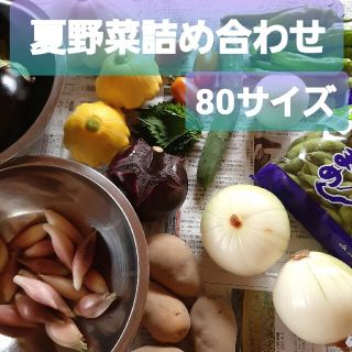 ☆夏野菜詰め合わせ☆ 朝採り お野菜セット ゆうパック 80サイズ(野菜)