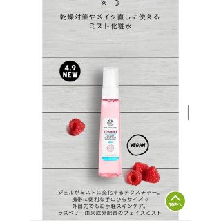 ザボディショップ(THE BODY SHOP)のザ ボディショップ　スキンクーリングジェルミストE ミスト化粧水(化粧水/ローション)