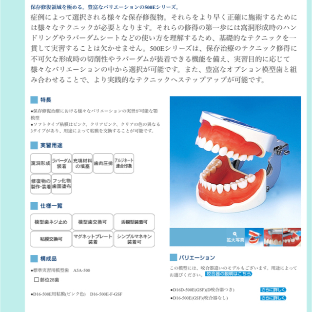 LION(ライオン)のloin様専用歯科顎模型　 エンタメ/ホビーのおもちゃ/ぬいぐるみ(模型/プラモデル)の商品写真