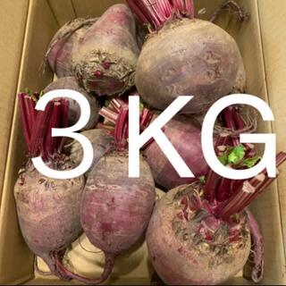 北海道　江別産　無農薬　オーガニック　ビーツ　3kg 新鮮野菜(野菜)