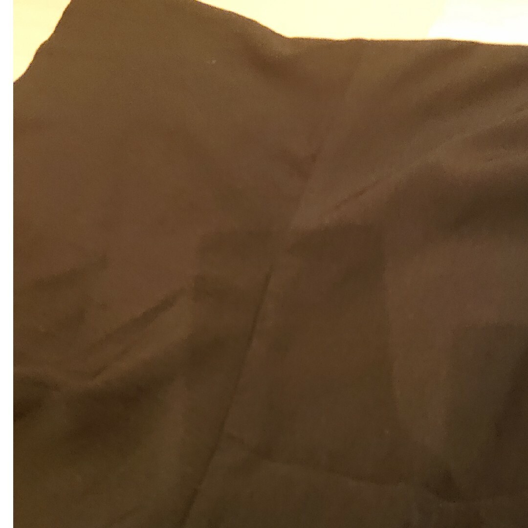 Discoat(ディスコート)の黒のテロテロカットソー レディースのトップス(カットソー(半袖/袖なし))の商品写真