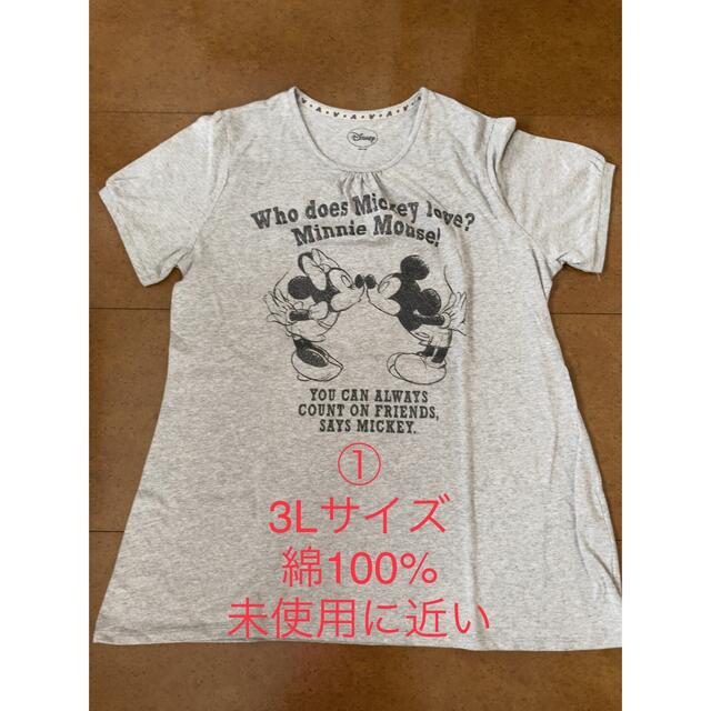 Disney(ディズニー)のお得☆ tシャツ ディズニー　ミッキー  ミニー　チップとデール　チョッパー レディースのトップス(Tシャツ(半袖/袖なし))の商品写真