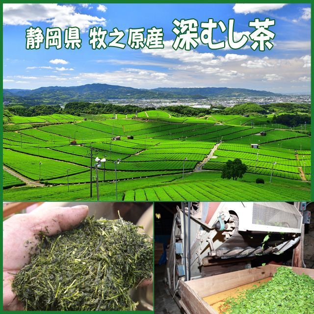 静岡茶 深むし茶200g×３個 送料無料 かのう茶店　お茶煎茶緑茶格安お買い得 食品/飲料/酒の飲料(茶)の商品写真