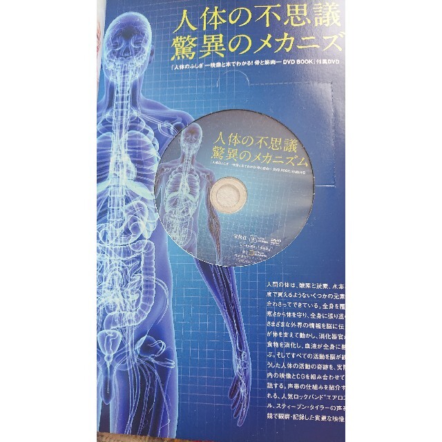 人体のふしぎ 映像と本でわかる！骨と筋肉　ＤＶＤ　ＢＯＯＫ エンタメ/ホビーの本(科学/技術)の商品写真