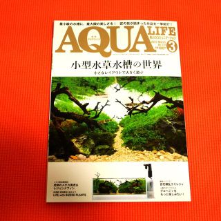 ✩★アクアライフ2022年3月号★✩(その他)