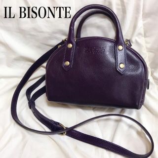 イルビゾンテ(IL BISONTE) 限定 ショルダーバッグ(レディース)の通販 標準保証 【極美品】イルビゾンテ ショルダーバッグ ヌメ革 レザー ダークブラウン ショルダーバッグ
