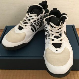 ナイキ(NIKE)の本日のみ値下げ！　NIKEチームハッスルD9GS  24.0センチ　中古(スニーカー)