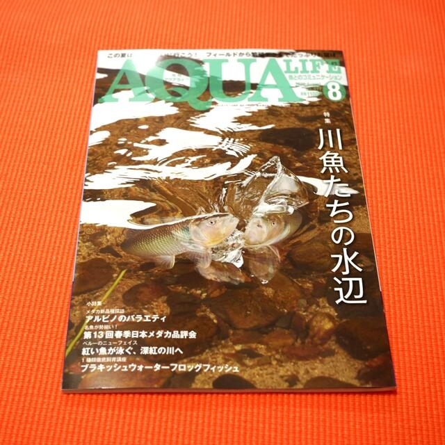 ✩★アクアライフ2022年8月号★✩グレープさん専用 エンタメ/ホビーの雑誌(その他)の商品写真